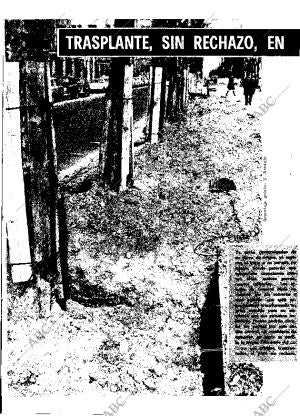 ABC MADRID 05-02-1970 página 8
