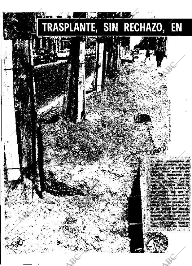 ABC MADRID 05-02-1970 página 8