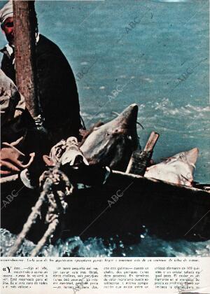 BLANCO Y NEGRO MADRID 07-03-1970 página 77