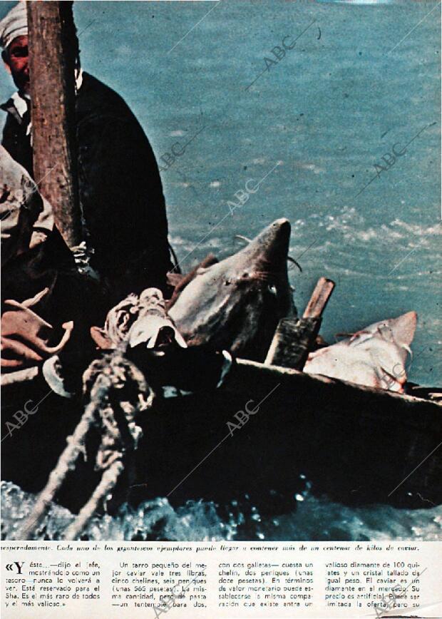 BLANCO Y NEGRO MADRID 07-03-1970 página 77