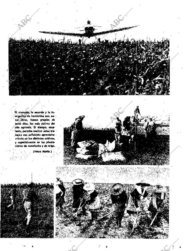 ABC SEVILLA 14-03-1970 página 21