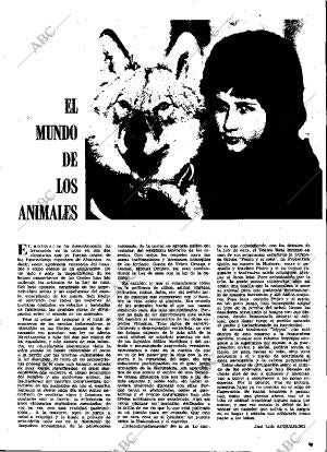 ABC MADRID 24-04-1970 página 19