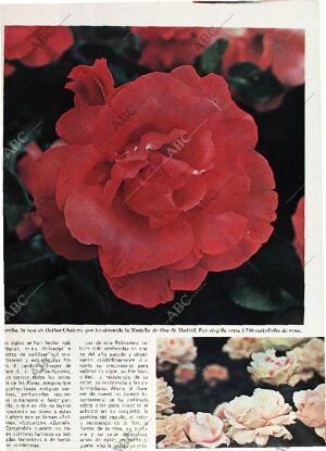 BLANCO Y NEGRO MADRID 27-06-1970 página 87