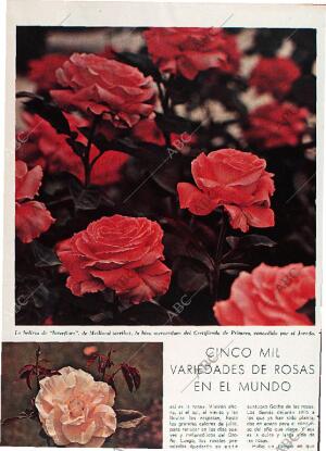 BLANCO Y NEGRO MADRID 27-06-1970 página 88