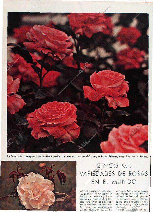 BLANCO Y NEGRO MADRID 27-06-1970 página 88