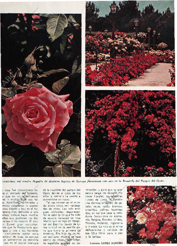 BLANCO Y NEGRO MADRID 27-06-1970 página 89