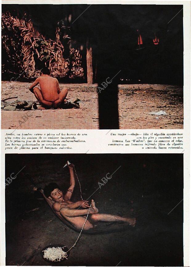 BLANCO Y NEGRO MADRID 25-07-1970 página 41