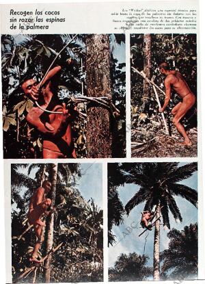 BLANCO Y NEGRO MADRID 25-07-1970 página 50