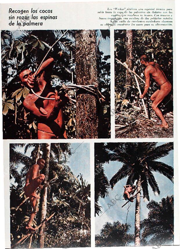 BLANCO Y NEGRO MADRID 25-07-1970 página 50