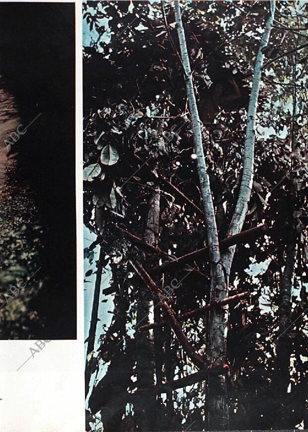 BLANCO Y NEGRO MADRID 12-09-1970 página 47