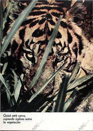 BLANCO Y NEGRO MADRID 12-09-1970 página 48