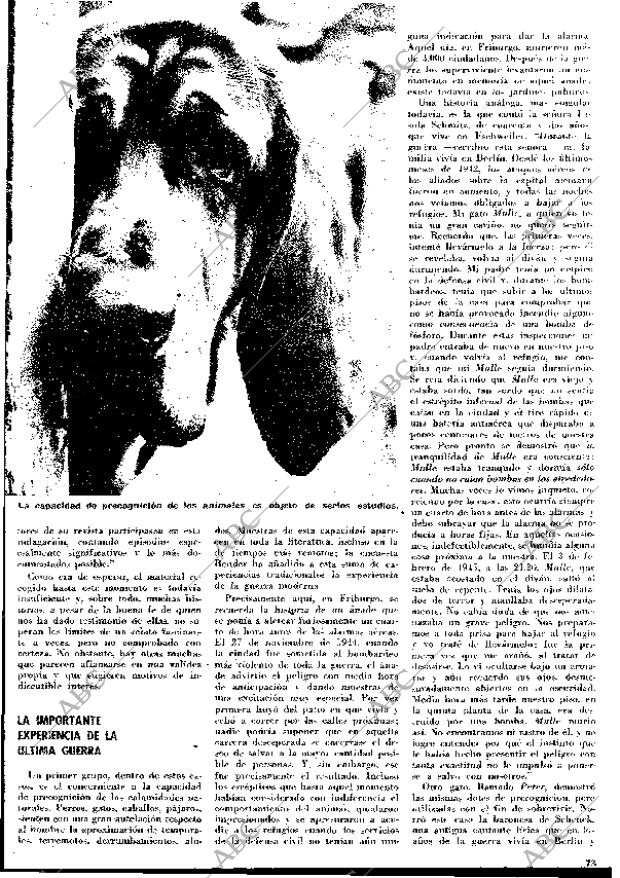 BLANCO Y NEGRO MADRID 19-09-1970 página 73