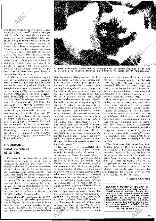 BLANCO Y NEGRO MADRID 19-09-1970 página 75