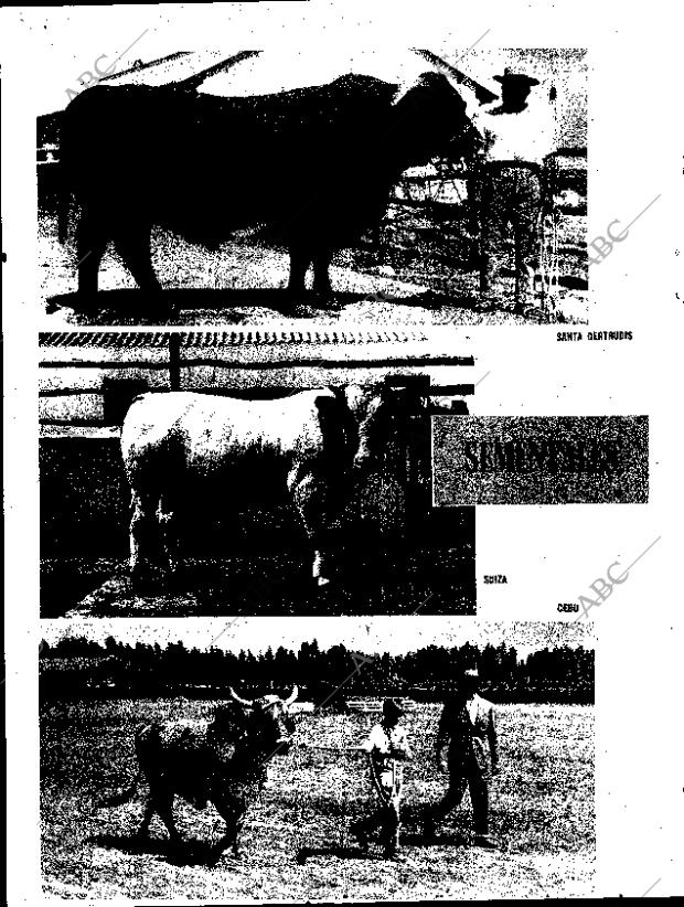 ABC SEVILLA 15-10-1970 página 14