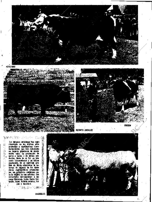 ABC SEVILLA 15-10-1970 página 15