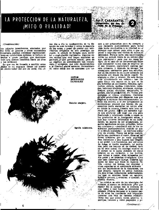 ABC SEVILLA 26-11-1970 página 79