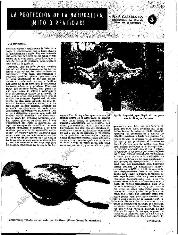 ABC SEVILLA 27-11-1970 página 79