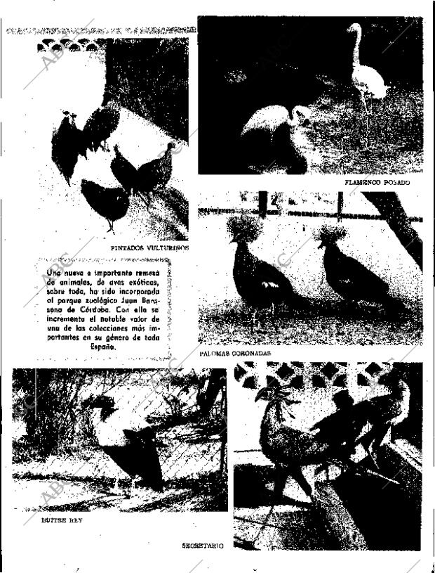 ABC SEVILLA 12-12-1970 página 17