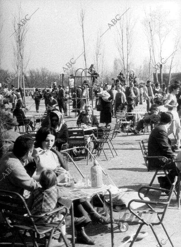 Personas Disfrutando de uno de los Parques de Madrid