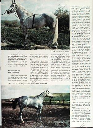 BLANCO Y NEGRO MADRID 01-05-1971 página 80