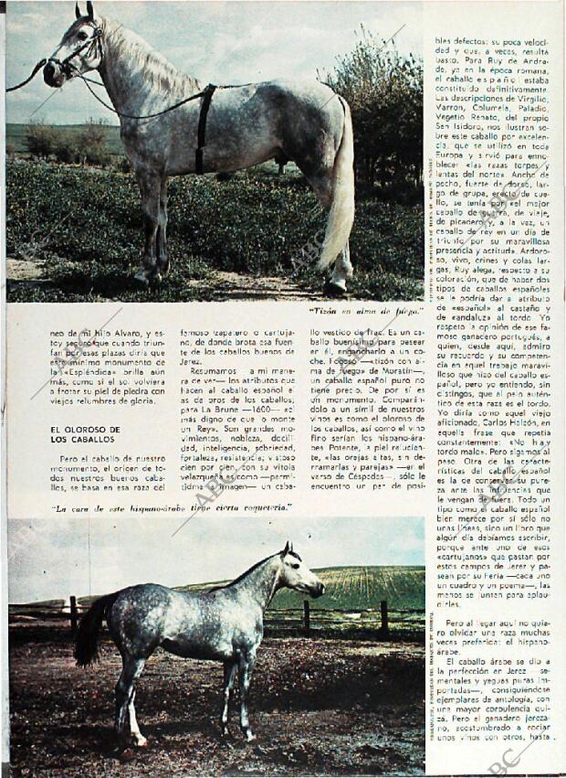 BLANCO Y NEGRO MADRID 01-05-1971 página 80