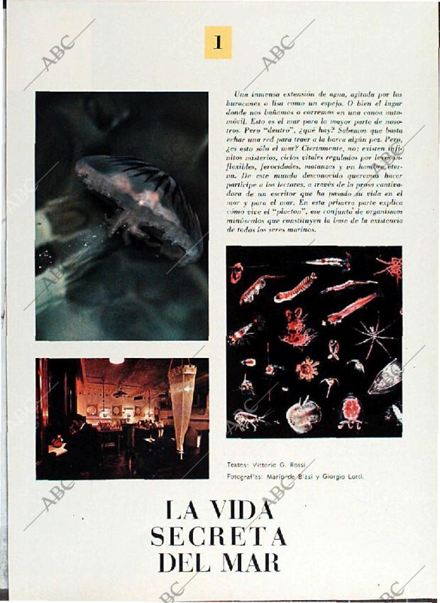 BLANCO Y NEGRO MADRID 08-05-1971 página 47