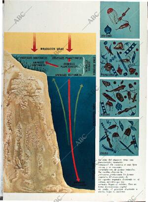 BLANCO Y NEGRO MADRID 08-05-1971 página 49
