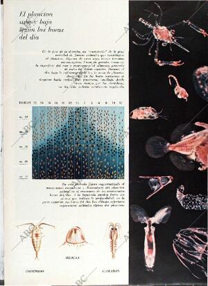 BLANCO Y NEGRO MADRID 08-05-1971 página 50