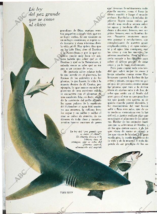 BLANCO Y NEGRO MADRID 08-05-1971 página 52