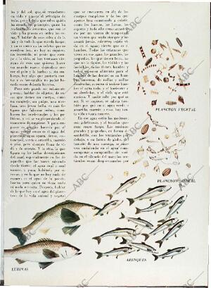 BLANCO Y NEGRO MADRID 08-05-1971 página 53