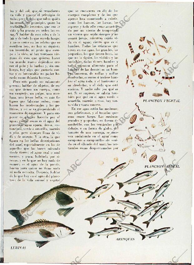 BLANCO Y NEGRO MADRID 08-05-1971 página 53