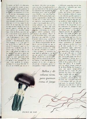 BLANCO Y NEGRO MADRID 08-05-1971 página 56