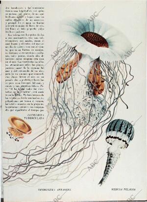 BLANCO Y NEGRO MADRID 08-05-1971 página 57