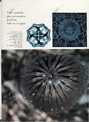 BLANCO Y NEGRO MADRID 08-05-1971 página 58