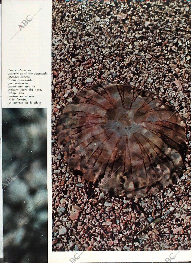 BLANCO Y NEGRO MADRID 08-05-1971 página 59