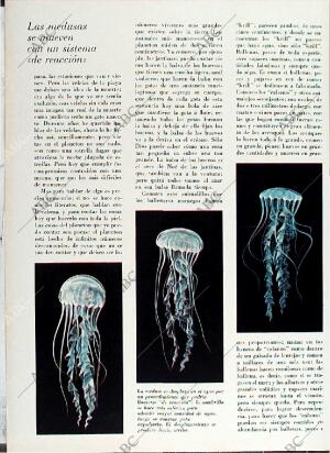 BLANCO Y NEGRO MADRID 08-05-1971 página 60