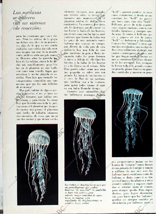 BLANCO Y NEGRO MADRID 08-05-1971 página 60