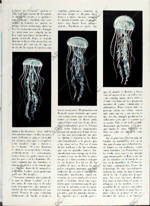 BLANCO Y NEGRO MADRID 08-05-1971 página 61