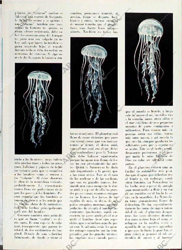 BLANCO Y NEGRO MADRID 08-05-1971 página 61