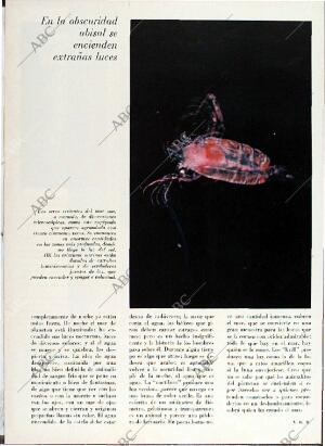 BLANCO Y NEGRO MADRID 08-05-1971 página 62