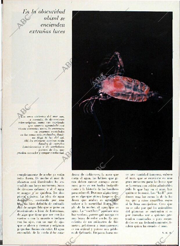 BLANCO Y NEGRO MADRID 08-05-1971 página 62