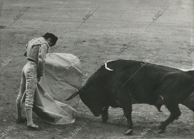 Bonita verónica de Ángel Teruel de las cuatro que instrumentó en su segunda...