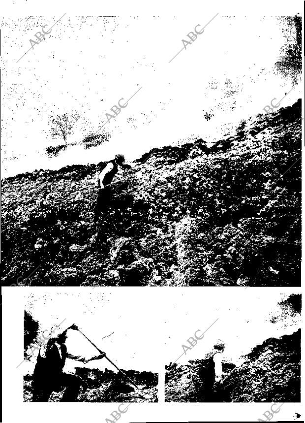 ABC MADRID 04-06-1971 página 19