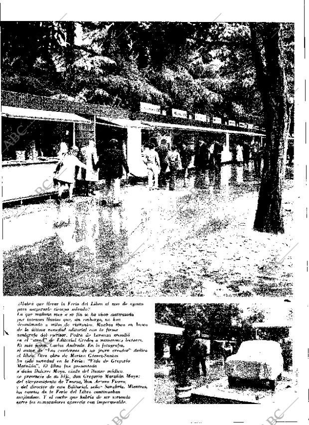 ABC MADRID 09-06-1971 página 13