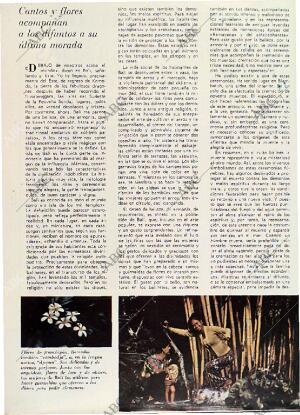 BLANCO Y NEGRO MADRID 12-06-1971 página 48