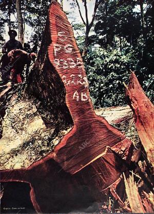 BLANCO Y NEGRO MADRID 19-06-1971 página 18