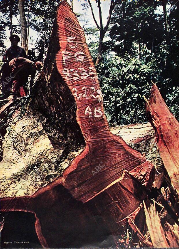 BLANCO Y NEGRO MADRID 19-06-1971 página 18