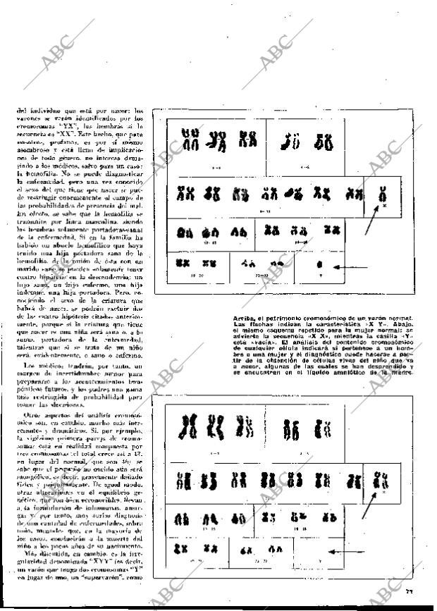 BLANCO Y NEGRO MADRID 19-06-1971 página 71