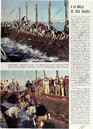 BLANCO Y NEGRO MADRID 17-07-1971 página 38