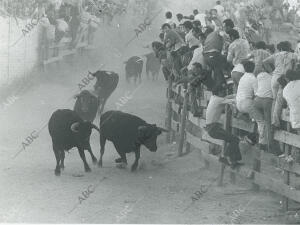 Primer encierro de la temporada en San Sebastián de los Reyes